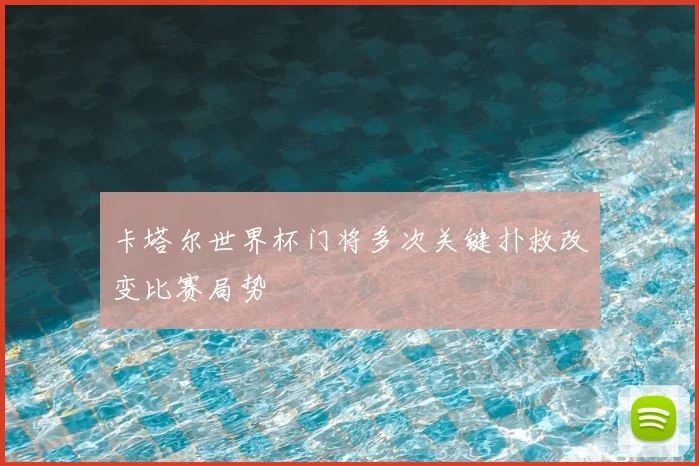 卡塔尔世界杯门将多次关键扑救改变比赛局势
