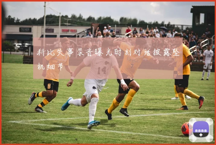 科比失事录音曝光时刻对话披露坠机细节