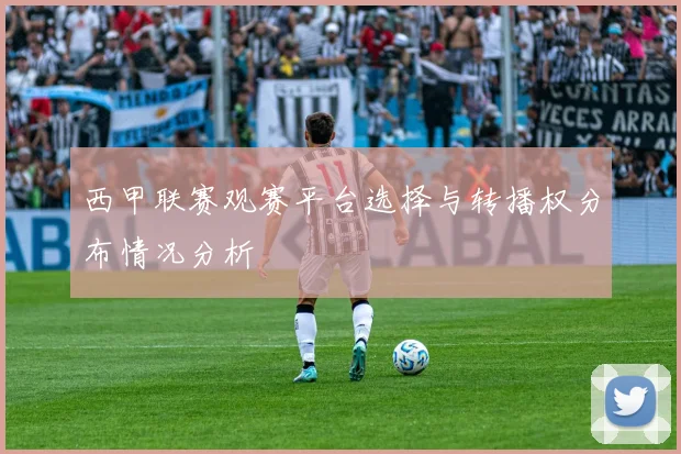 西甲联赛观赛平台选择与转播权分布情况分析