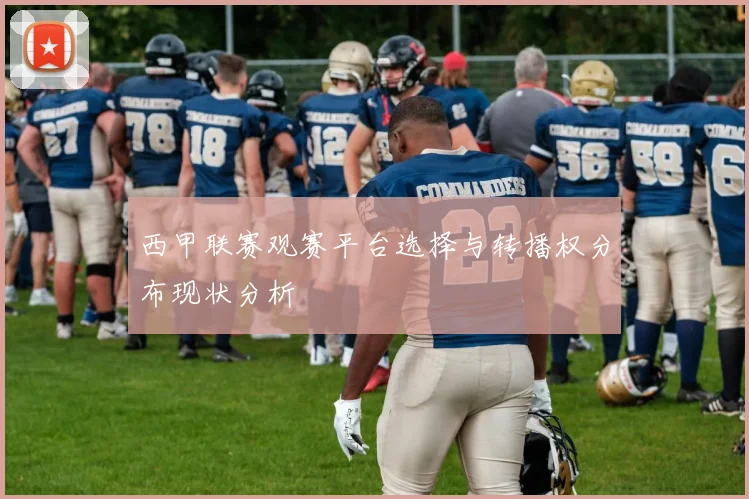 西甲联赛观赛平台选择与转播权分布现状分析