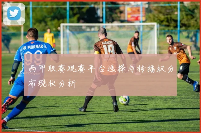 西甲联赛观赛平台选择与转播权分布现状分析