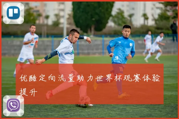 优酷定向流量助力世界杯观赛体验提升