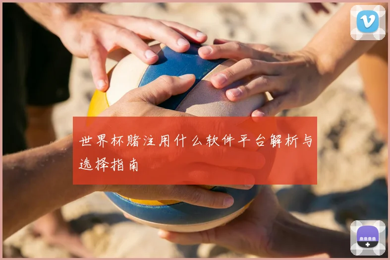世界杯赌注用什么软件平台解析与选择指南