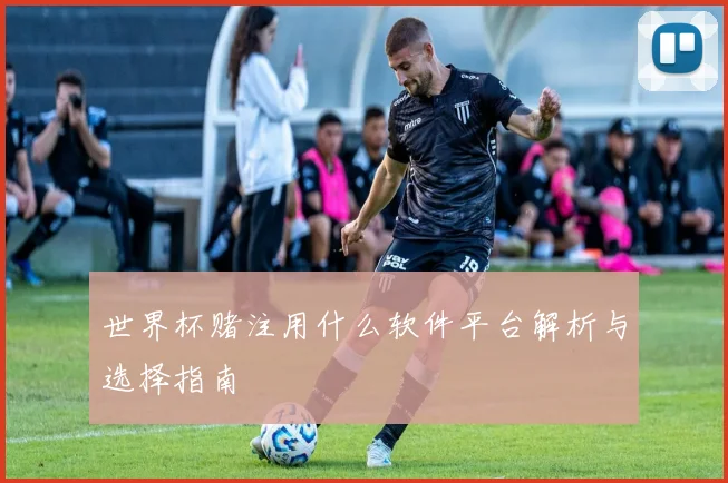 世界杯赌注用什么软件平台解析与选择指南