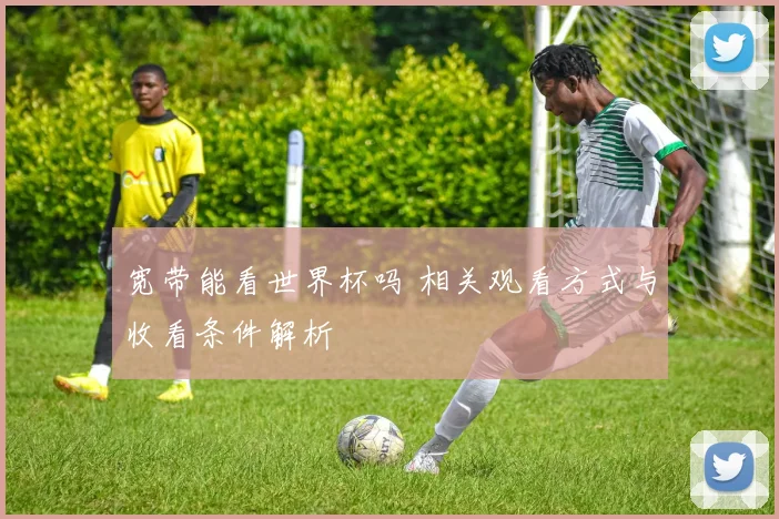 宽带能看世界杯吗 相关观看方式与收看条件解析