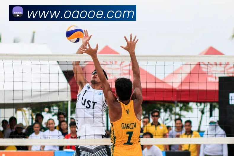 k1体育app官方官网平台生态图